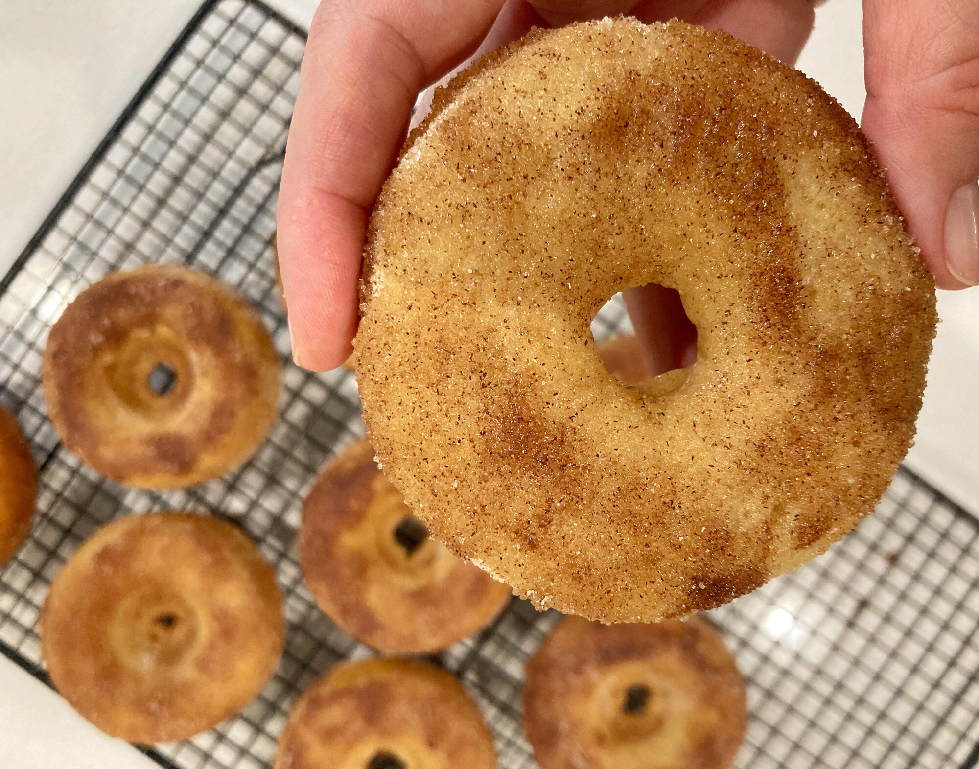 apple cider donuts